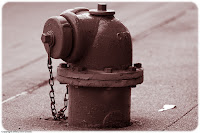 Chicago Fire Hydrant: Don't ask why I took a picture of a fire hydrant - I don't know. But I think this treatment looks cool! (1/400 sec @ f/4; 169mm)