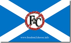 saltire_xxx saltire_xxx