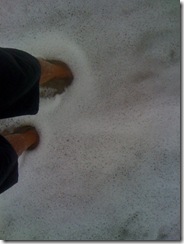 legs in water