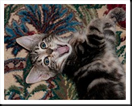 baby-grinning