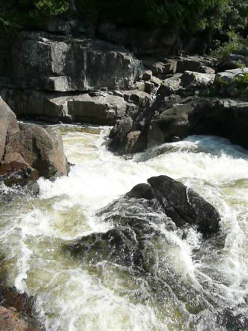 [P1020223[2].jpg]