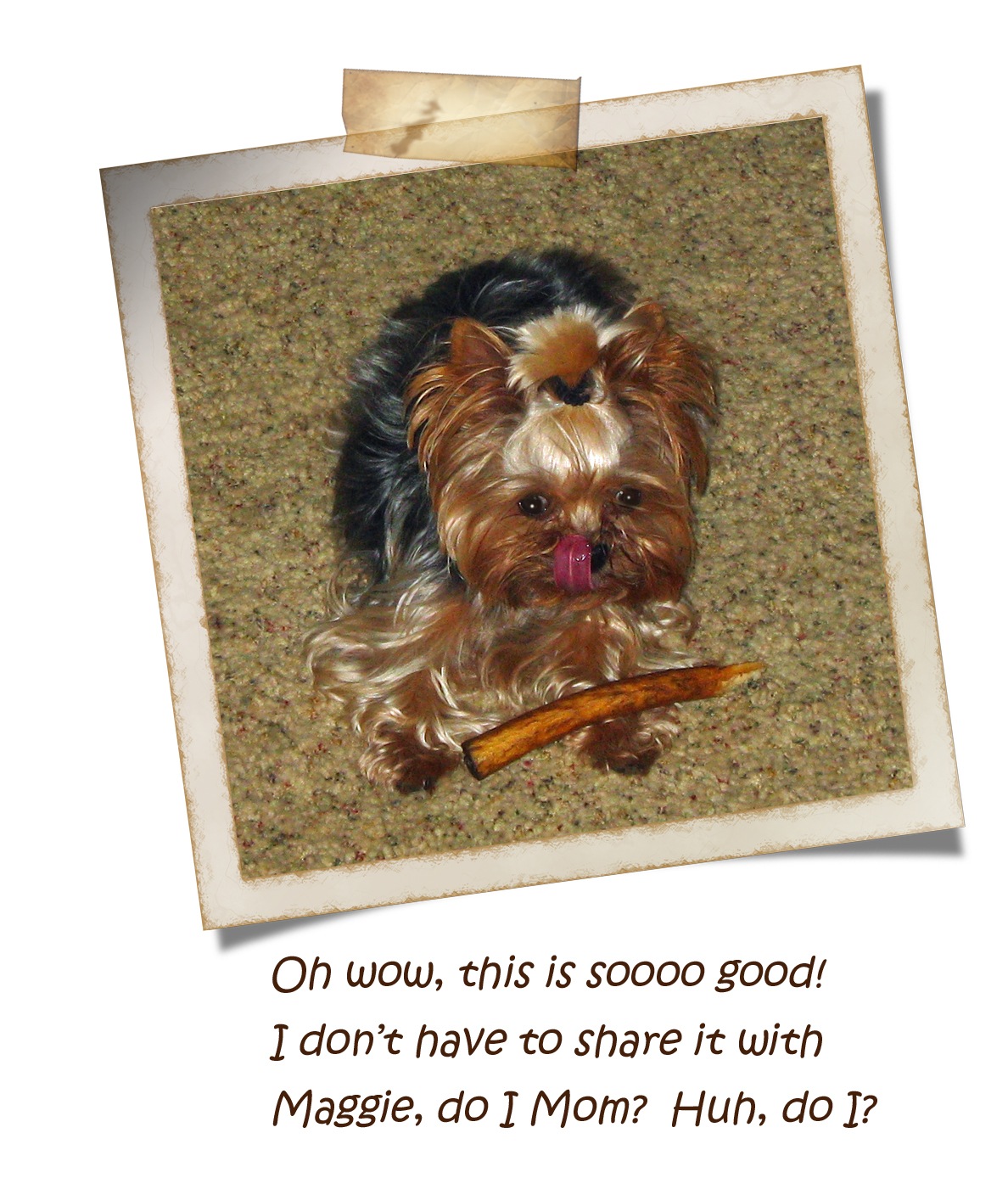 [2mollie-11-1-08[6].jpg]