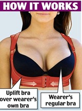 article-1256466-08A3248F000005DC-922_306x433[1]