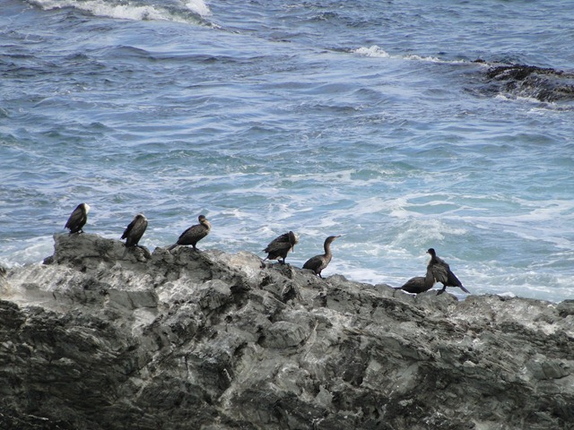 [DSC048874.jpg]