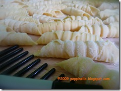 garganelli 12