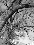 IMG_0338_edited-1.jpg