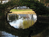 IMG_0340-1.jpg