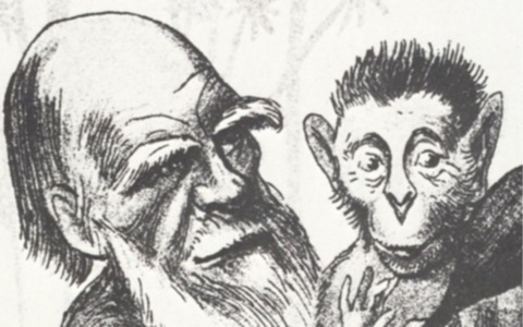 [darwin[38].jpg]
