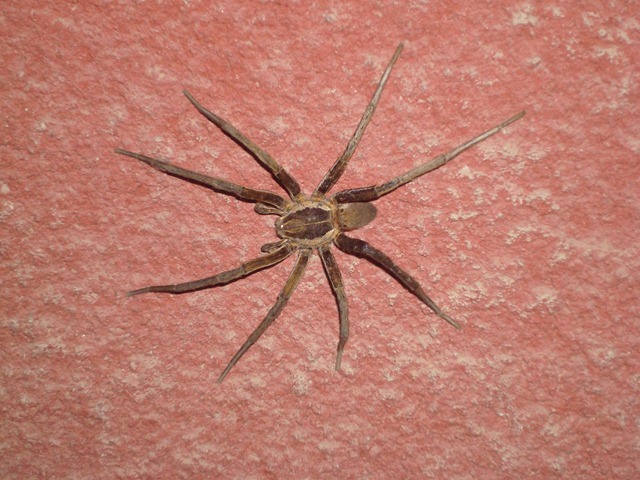 [DSC087332.jpg]
