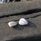 20061123131819__PB232214.JPG