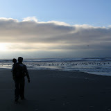 Olympic Peninsula Road Trip