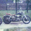 GOOSE'86.jpg