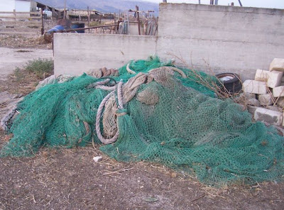 Image of Reti