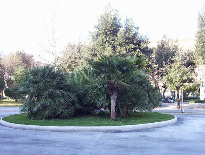 Image of Foggia - Villa Comunale