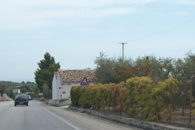 Image of Da Manfredonia a Mattinata