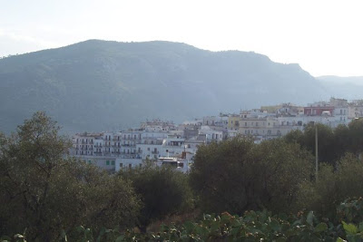 Image of Mattinata