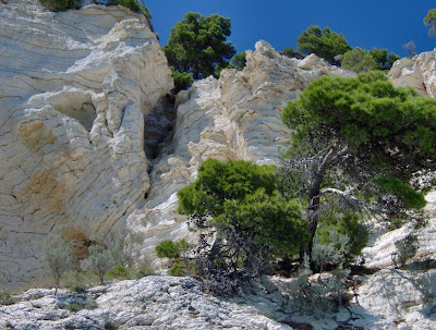 Image of Vignanotica presso Mattinata Image of Vignanotica presso Mattinata