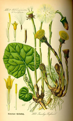 Farfugio
