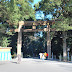聽說是阿里山神木做的門...