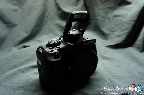 [20110327-1-19[3].jpg]