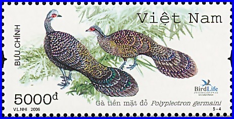 vie200609l vie200609l
