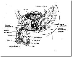 clip_image002