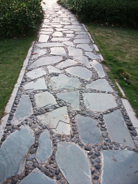 [DSCF01143.jpg]