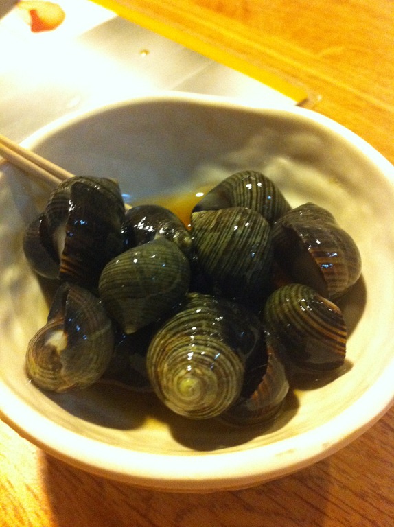 [Yoshi's Sea Snails! 033111[3].jpg]