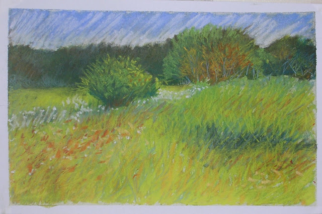"Willows"