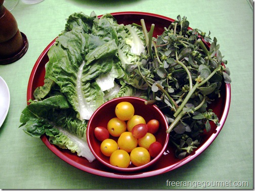 Purslane in salad