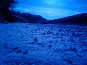 Near the ground on the back roads