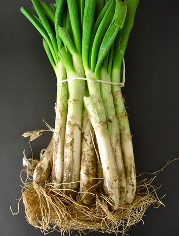 calçots 020