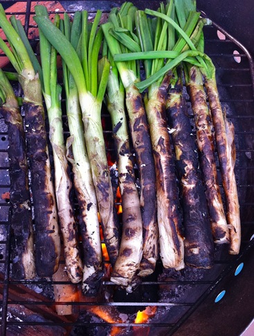 calçots 072