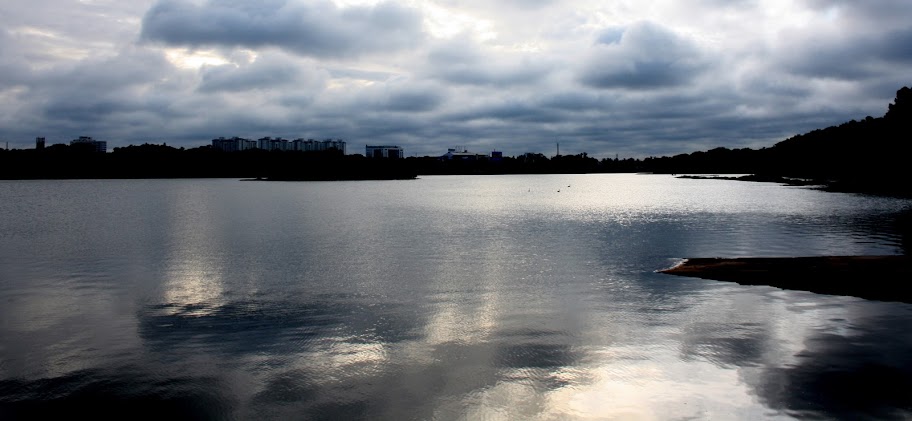 View of Hebbal Lake 