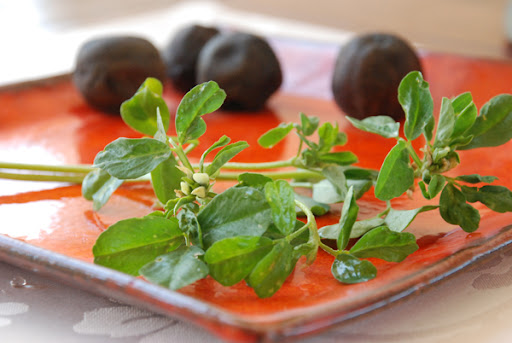 fenugreek leaves