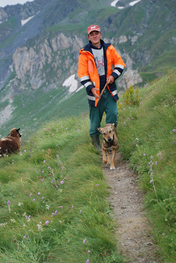 macedonian shepherd