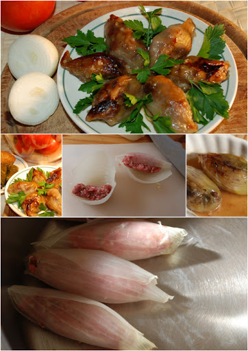 stuffed onions