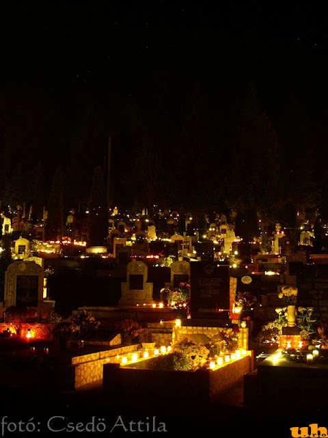 nov1_2010_15.jpg