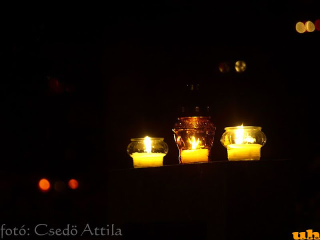 nov1_2010_24.jpg