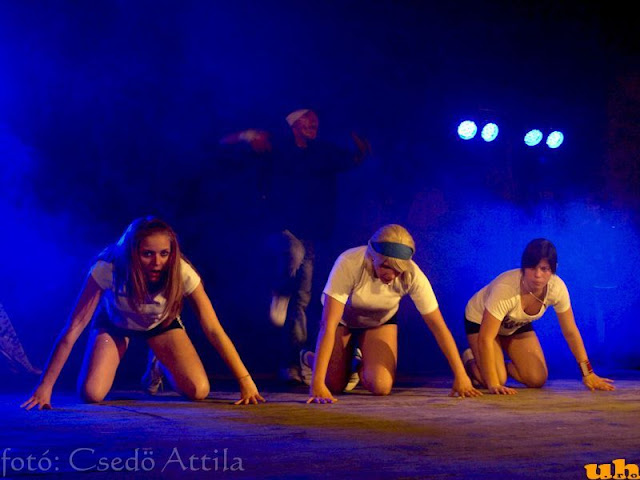 mezogbal2010_02.jpg