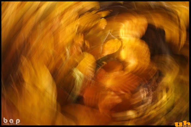 oszihangulat02.jpg