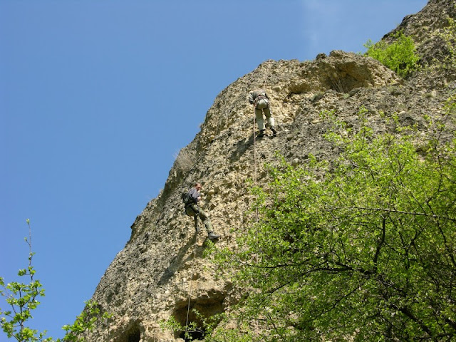 sofalvi01.jpg