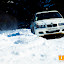 rallyUH-2265096.jpg