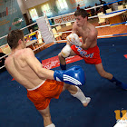 Full Fight Show, Rákóczi center, 2011. ápr. 8., Csedő Attila fotóriportja
