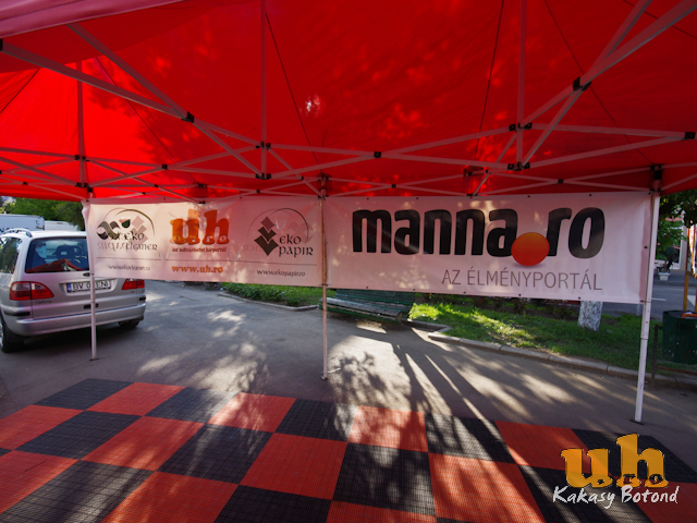 vasarhelyi rally g-02.jpg