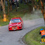 vasarhelyi rally g-42.jpg