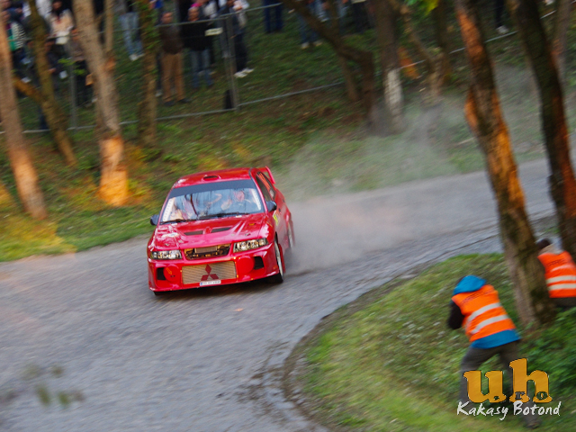vasarhelyi rally g-42.jpg