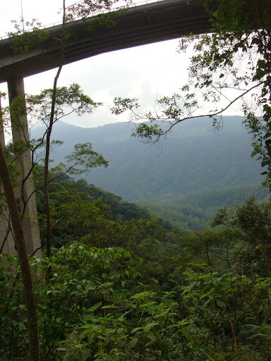 Ciclista Fabiano.