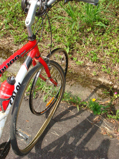 Ciclista Fabiano.