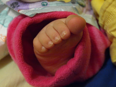 p2131882.jpg